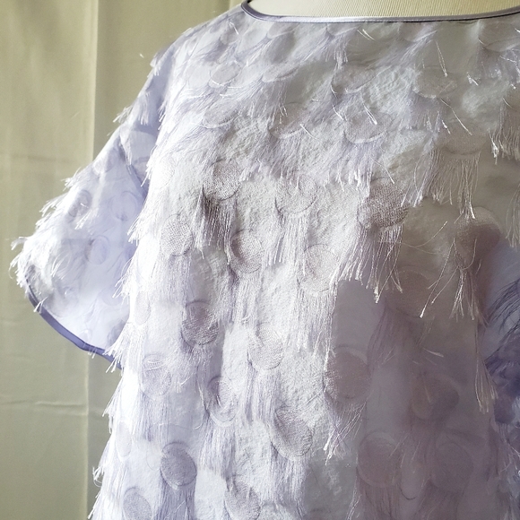 Purple Levender Shortsleeve Blouse Sheer Lightweight By Banana Republic - Picture 3 of 9